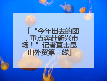 “今年出去的团，重点奔赴新兴市场！”记者直击昆山外贸第一线